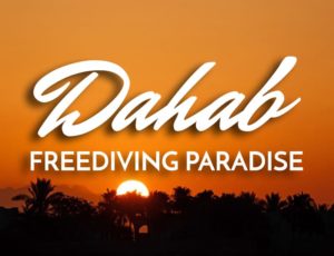Dahab Freediving Paradise
