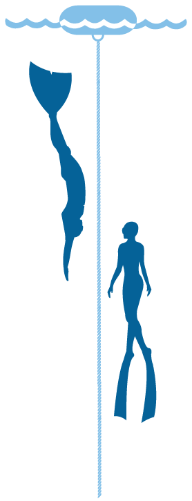 Blue Ocean Freedivers Graphic