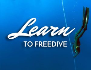 Learn to Freedive