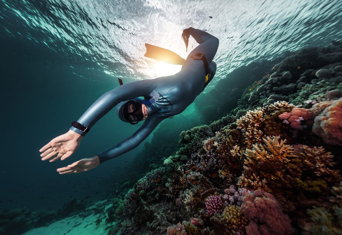 Dahab Underwater