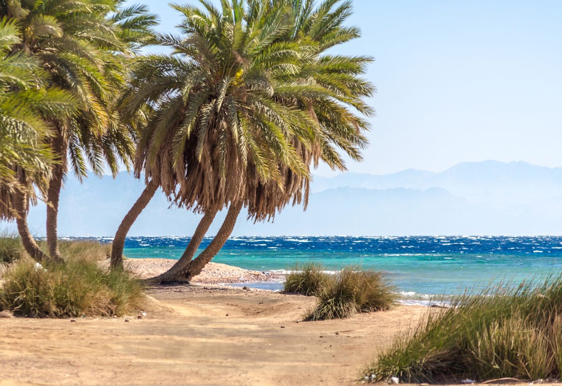 South Oasis Dahab