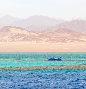 Coast of Dahab